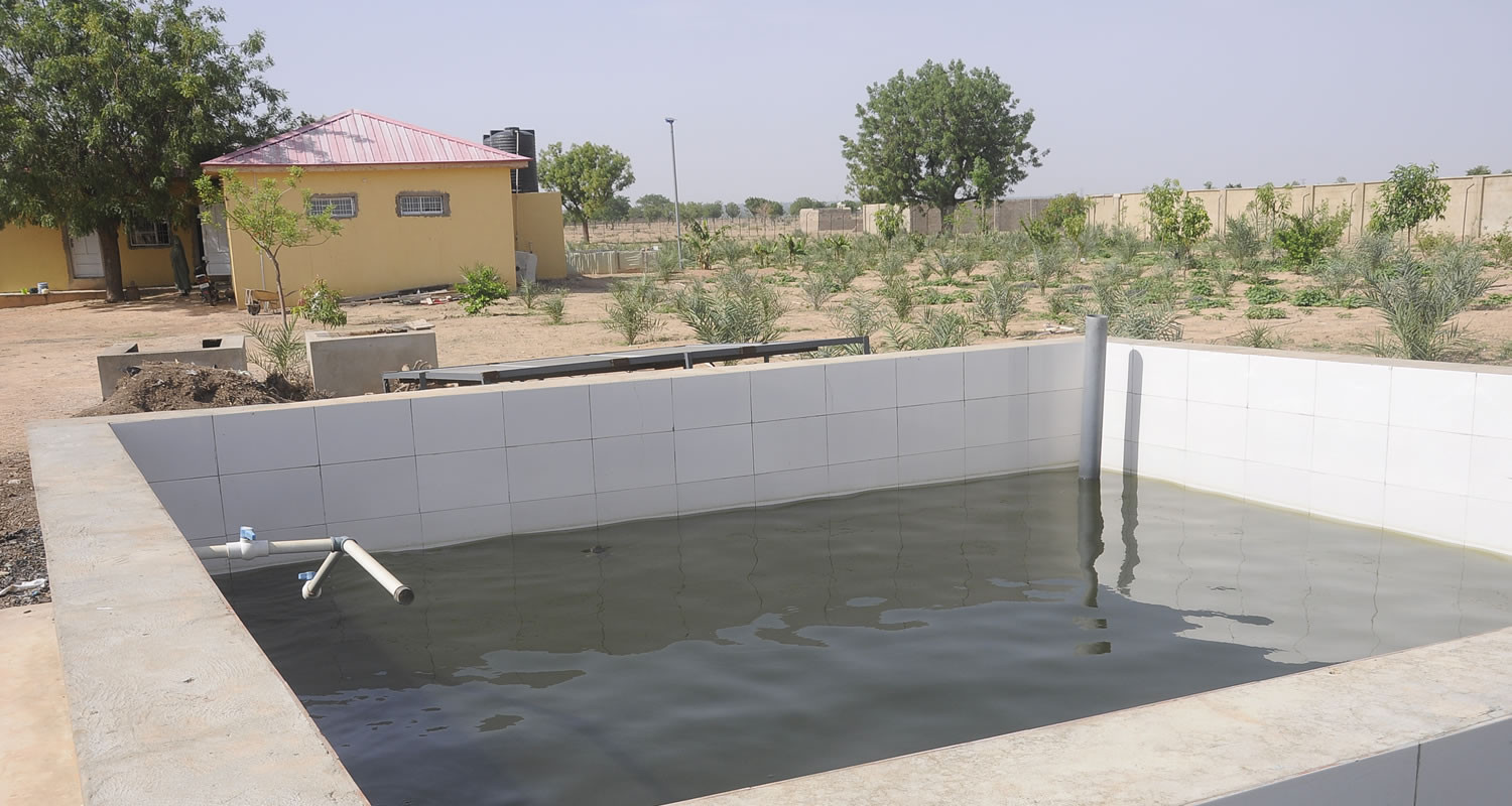 Atta'awun Fish Farming